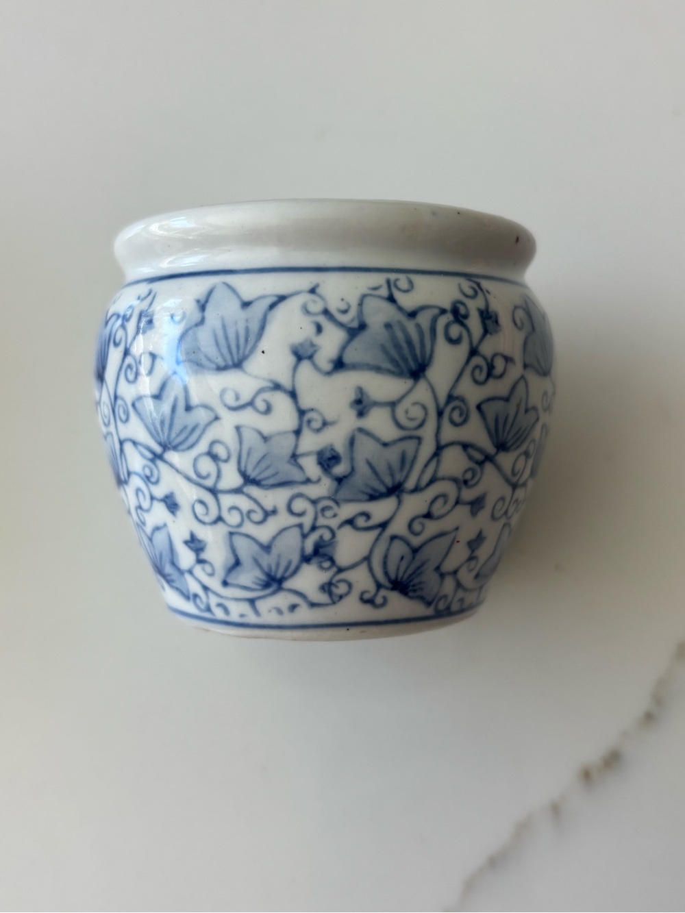 Chinese Dynasty Miniature Porcelain tea Cup Planter Vase